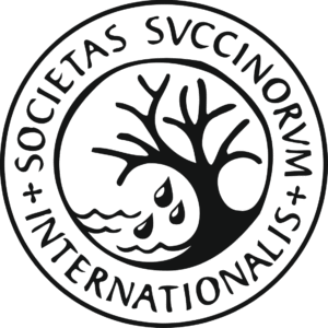 Logo: https://www.amber.org.pl/